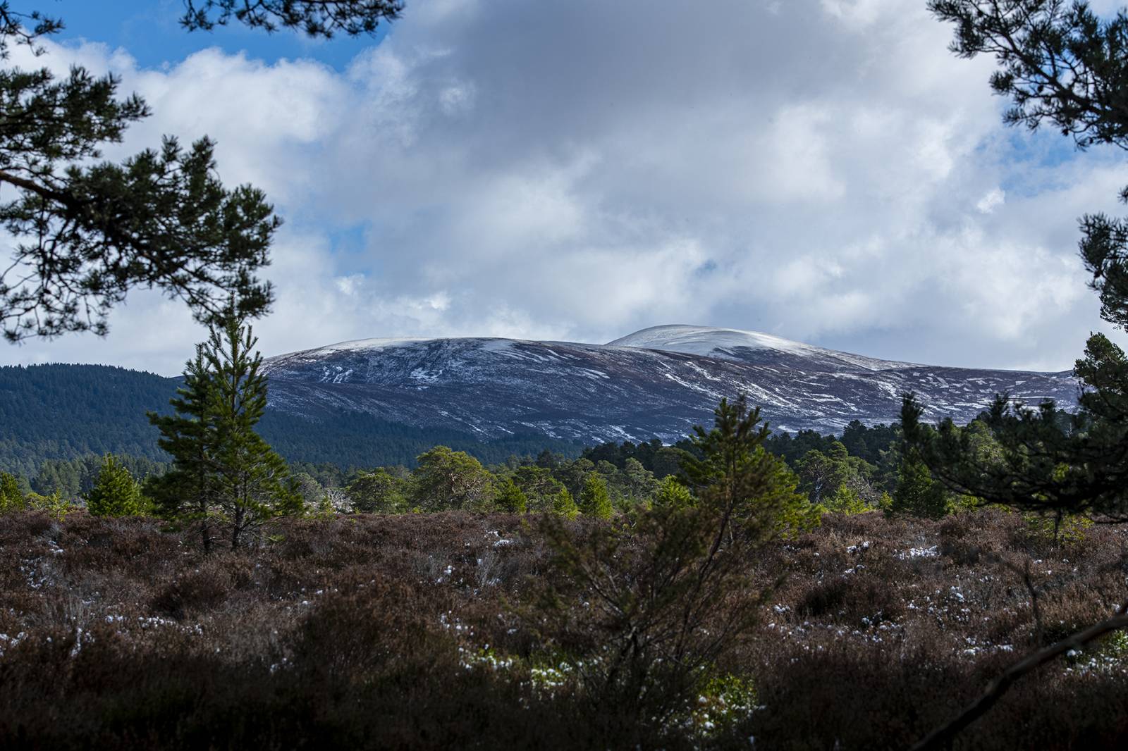 CAIRN_SPEYSIDE_04_72DPI_RGB